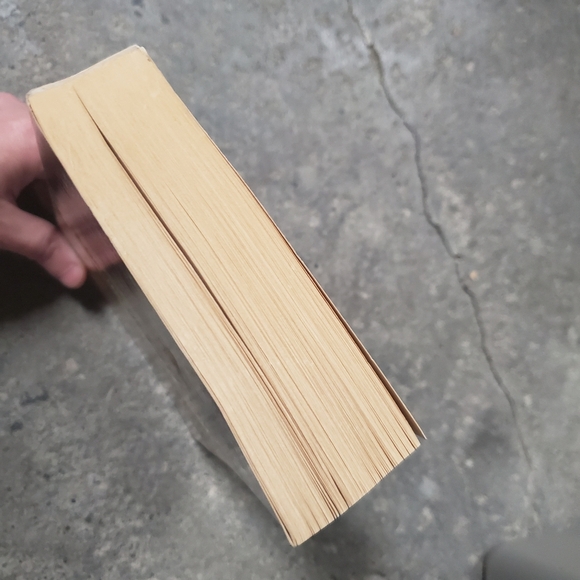 The Gangs of Chicago by Herbert Asbury (paperback book) - Picture 4 of 7